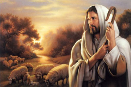 QUIEN MÁS SUFRE EL MALTRATO AL PLANETA NO ERES TÚ